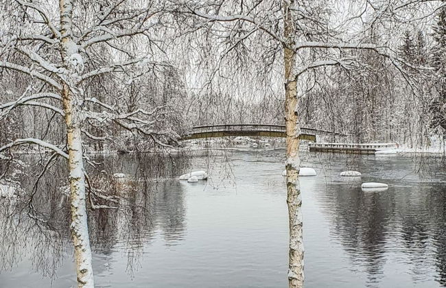 Hartolan ilo - Photo 52