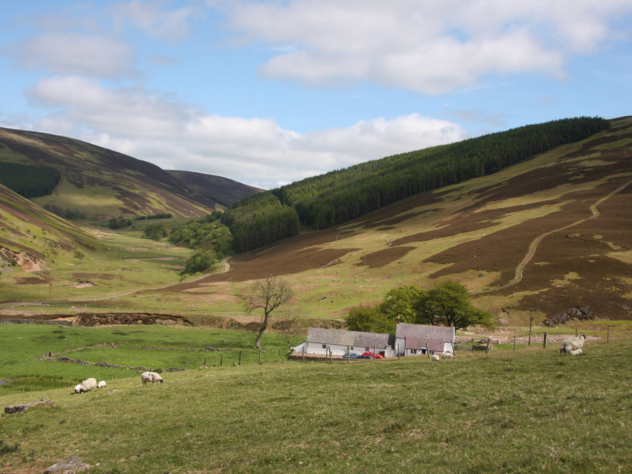 Photo 24 - 4 bedroom House in Wooler with garden