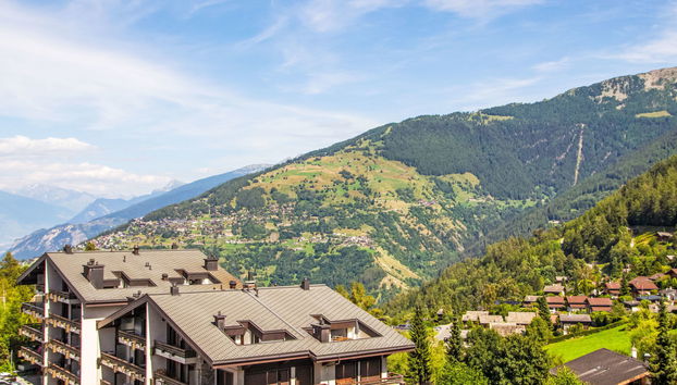 Apartamento de 1 quarto em Nendaz com terraço - Foto 4