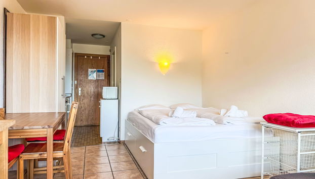 Apartamento de 1 quarto em Nendaz com terraço - Foto 2