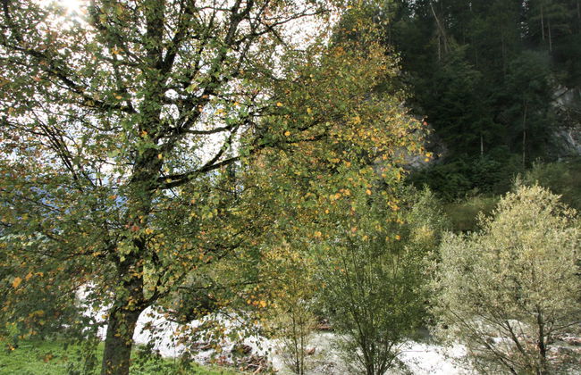 2 bedroom Apartment in Schwendau with garden - Photo 16