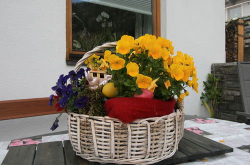 Foto 30 - Appartamento con 3 camere da letto a Strass im Zillertal con giardino e vista sulle montagne