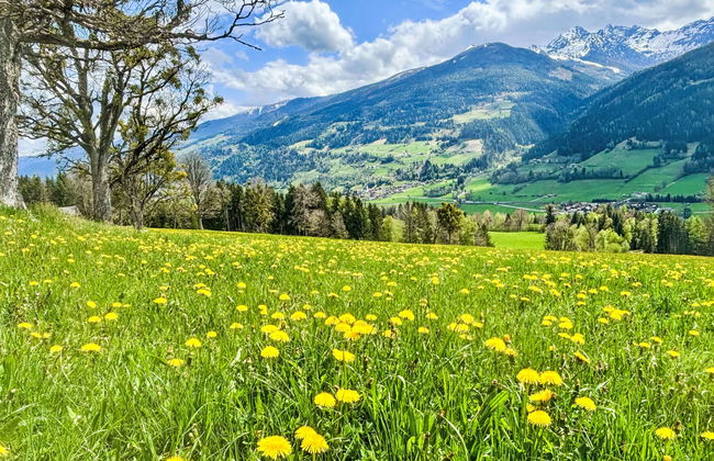 Apartamento de 2 quartos em Ramsau am Dachstein com jardim - Foto 30