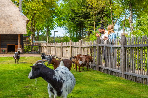 Foto 42 - Casa de 2 quartos em Otterlo com piscina e terraço