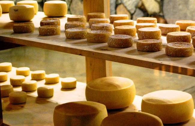 Ruta del vino y queso - Privada - Foto 2