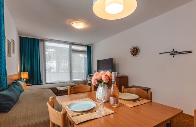 Apartamento de 2 quartos em Bad Gastein com jardim - Foto 8