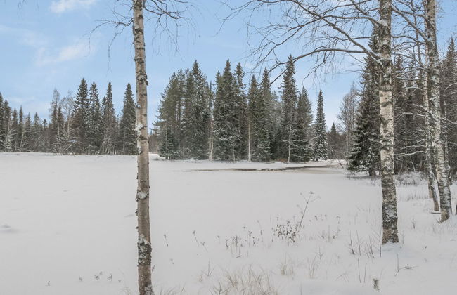 Haus mit 3 Schlafzimmern in Taivalkoski - Foto 24