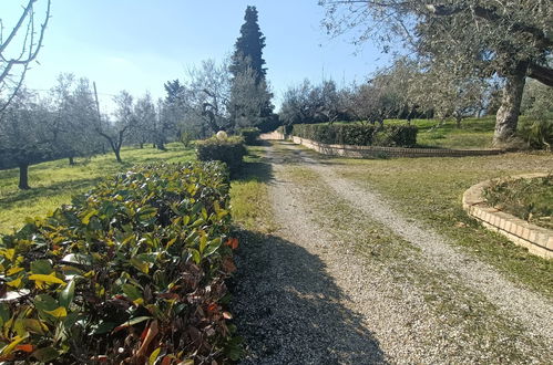 Photo 14 - Maison de 4 chambres à Città Sant'Angelo avec piscine privée et jardin