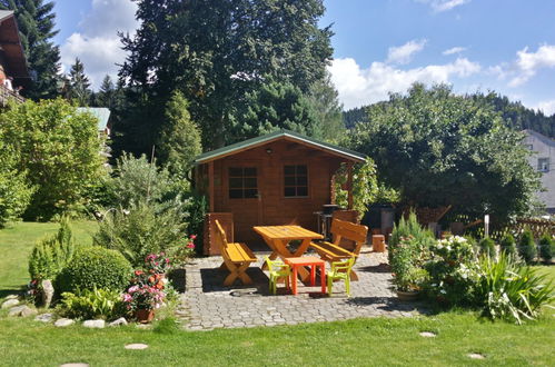 Photo 13 - Appartement en Harrachov avec jardin