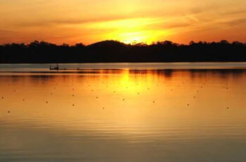 Photo 27 - Discovery Parks - Nagambie Lakes