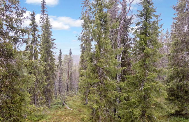 Haus mit 3 Schlafzimmern in Salla - Foto 25