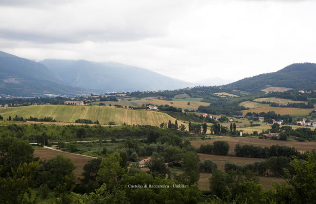 Castello di Baccaresca - Foto 11