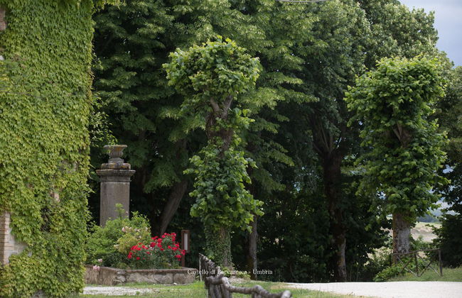 Castello di Baccaresca - Foto 13