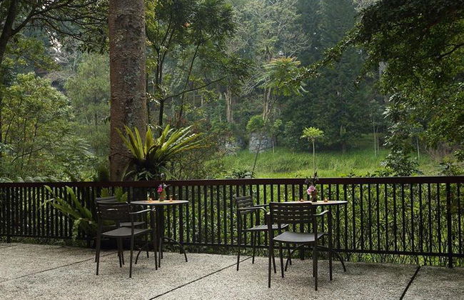 Villa Puncak by Plataran - Foto 21