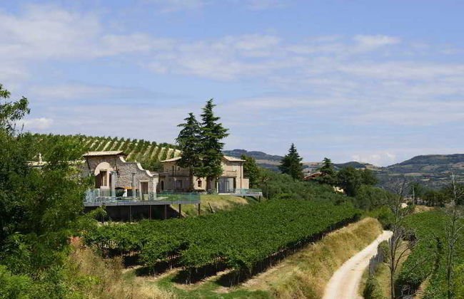 Tenuta Le Cave - Foto 2