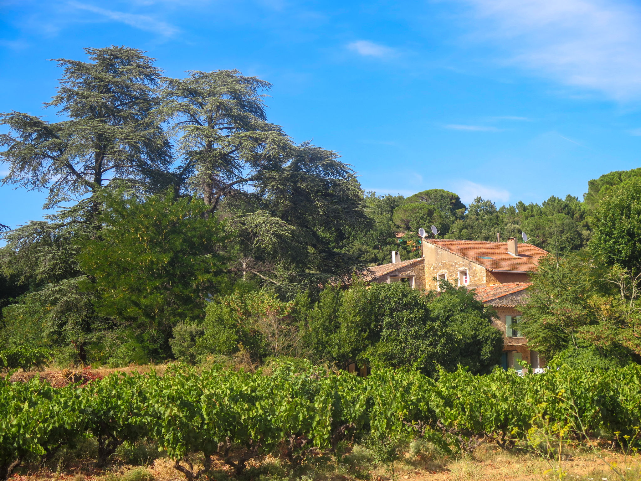 Photo 42 - Maison de 4 chambres à Besse-sur-Issole avec piscine et jardin