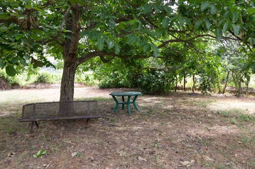 Foto 46 - Casa de 5 habitaciones en Besse-sur-Issole con piscina y jardín