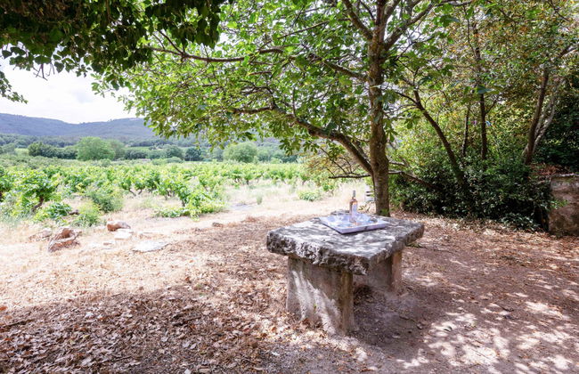 Haus mit 2 Schlafzimmern in Besse-sur-Issole mit schwimmbad und garten - Foto 27