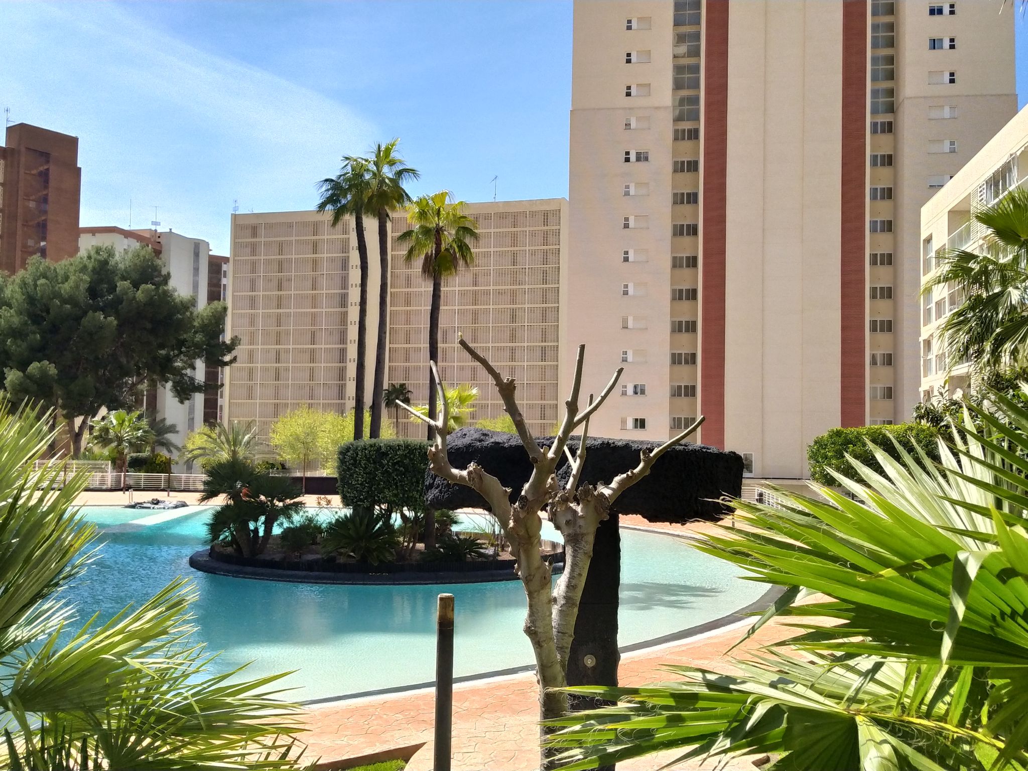 Photo 29 - Appartement de 2 chambres à Benidorm avec piscine et terrasse