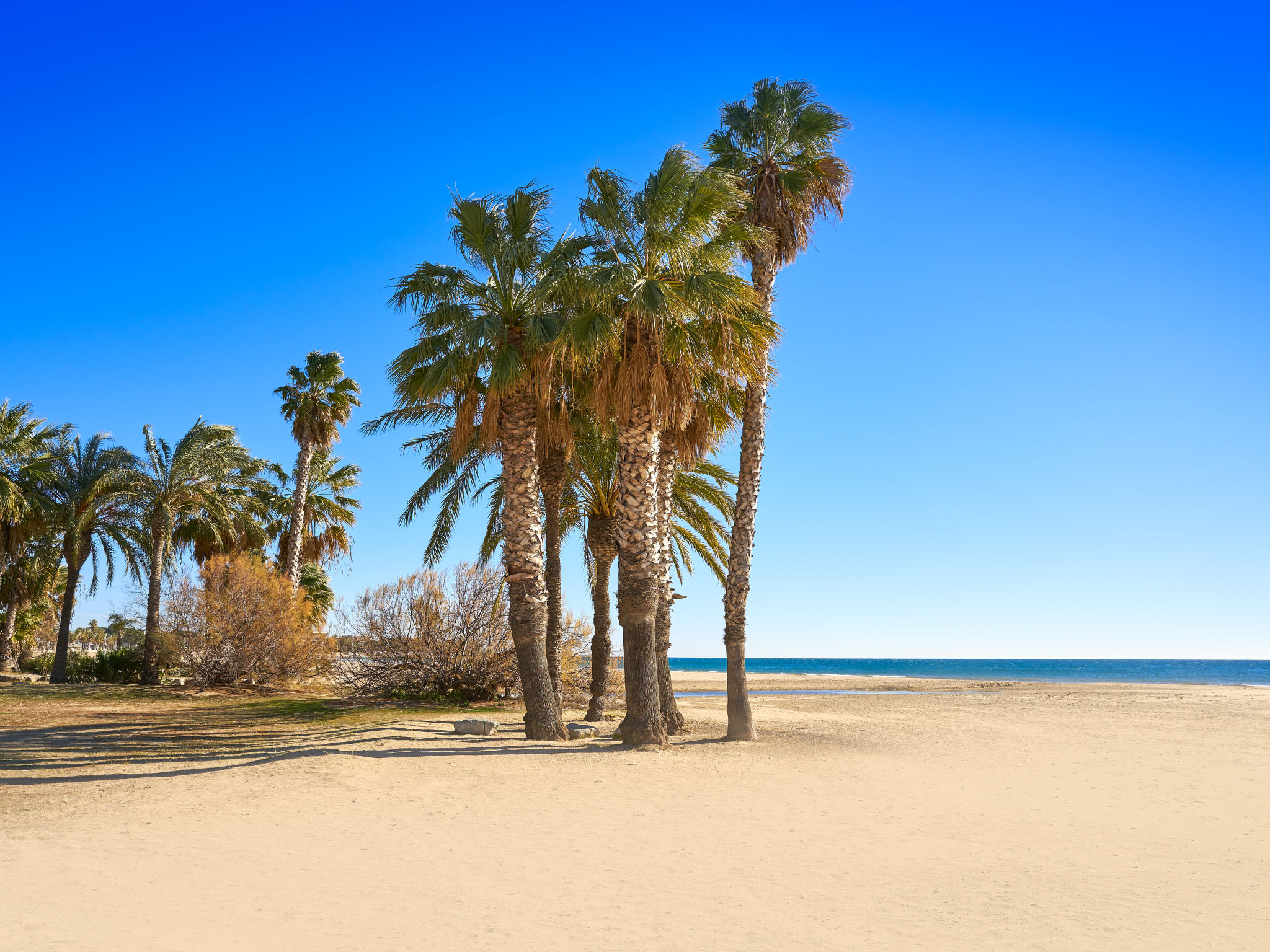 Photo 33 - Maison de 3 chambres à Cambrils avec jardin et sauna