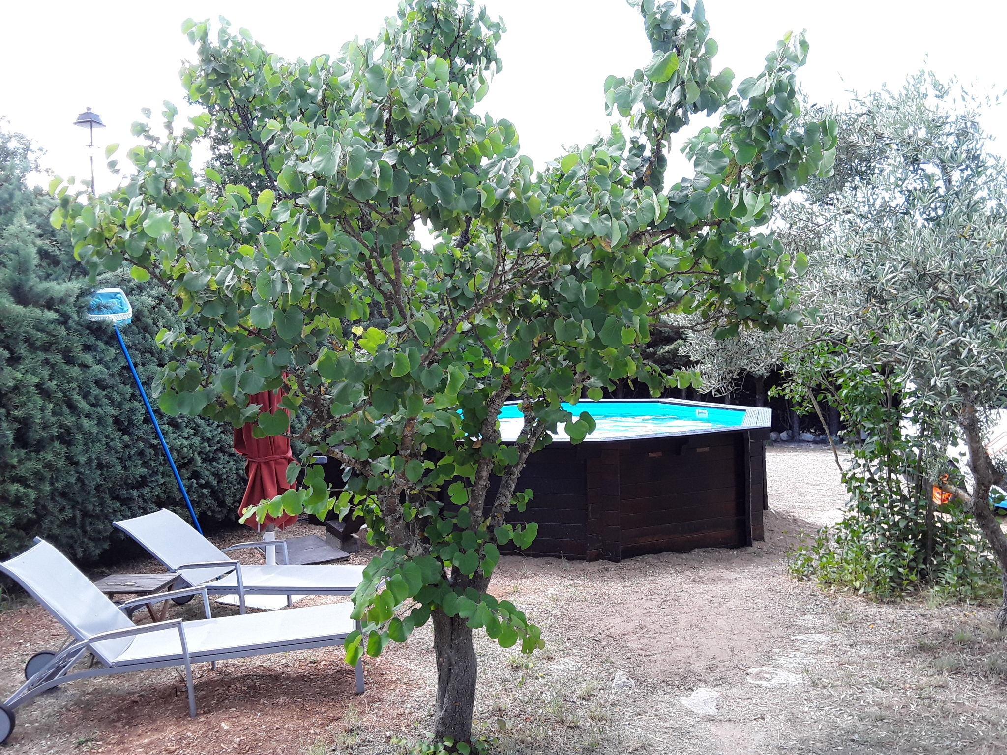 Foto 23 - Casa con 1 camera da letto a Rustrel con piscina privata e giardino