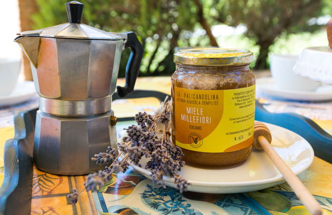 Appartement de 3 chambres à Bibbona avec jardin et terrasse - Photo 28