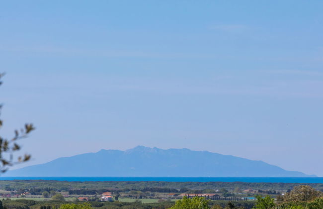Appartement de 3 chambres à Bibbona avec jardin et terrasse - Photo 37