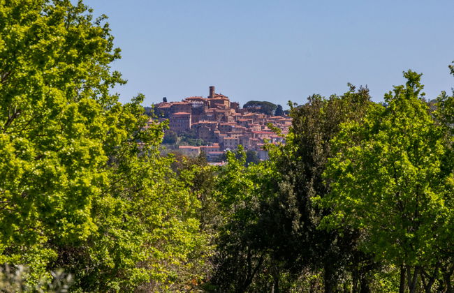 Appartement de 3 chambres à Bibbona avec jardin et terrasse - Photo 41