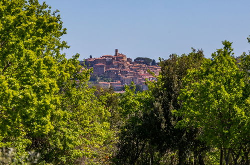 Foto 41 - Appartamento con 2 camere da letto a Bibbona con giardino e terrazza