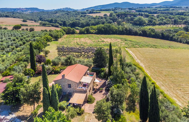 Appartement de 3 chambres à Bibbona avec jardin et terrasse - Photo 34