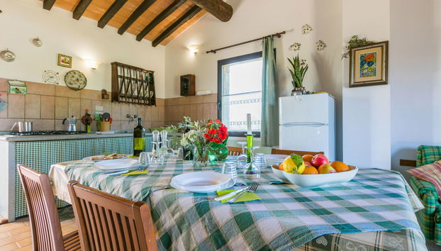 Appartement de 3 chambres à Bibbona avec jardin et terrasse - Photo 5