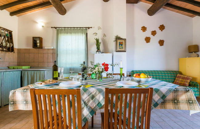 Appartement de 3 chambres à Bibbona avec jardin et terrasse - Photo 12