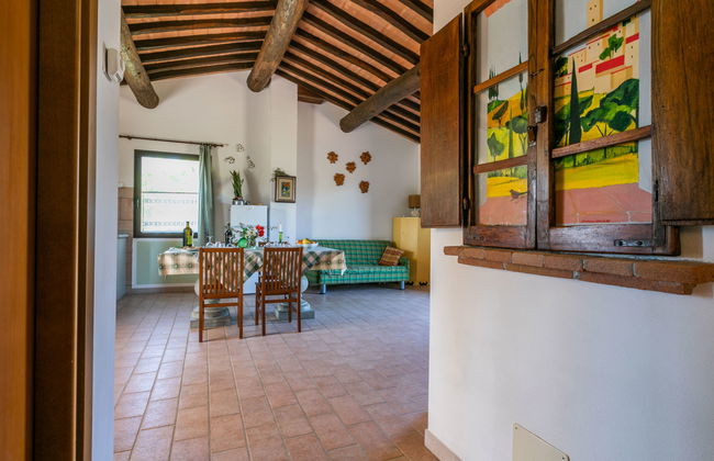 Appartement de 3 chambres à Bibbona avec jardin et terrasse - Photo 8