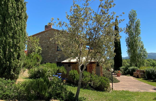 Appartement de 3 chambres à Bibbona avec jardin et terrasse - Photo 44