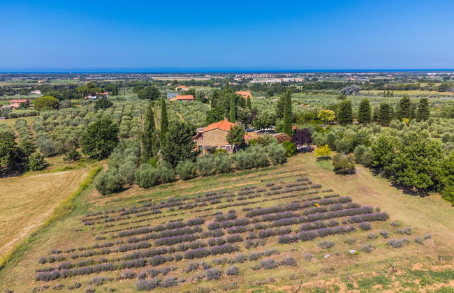 Appartement de 3 chambres à Bibbona avec jardin et terrasse - Photo 2