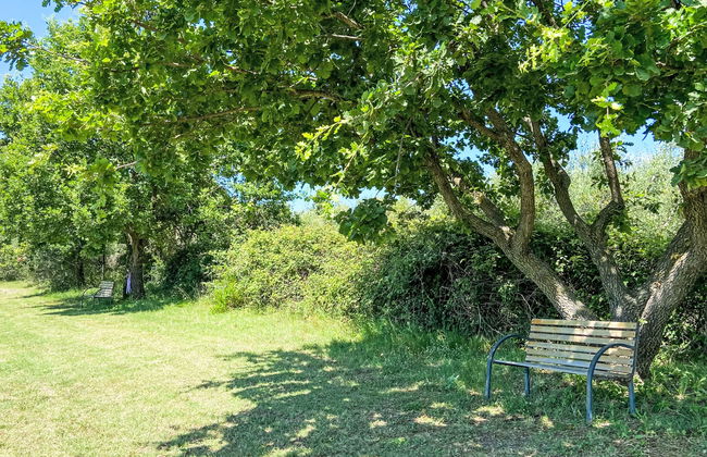 Appartement de 3 chambres à Bibbona avec jardin et terrasse - Photo 52