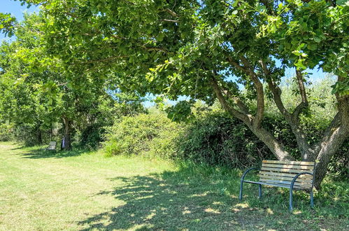 Foto 52 - Appartamento con 2 camere da letto a Bibbona con giardino e terrazza