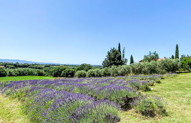 Appartement de 3 chambres à Bibbona avec jardin et terrasse - Photo 51