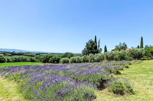 Foto 44 - Appartamento con 2 camere da letto a Bibbona con giardino