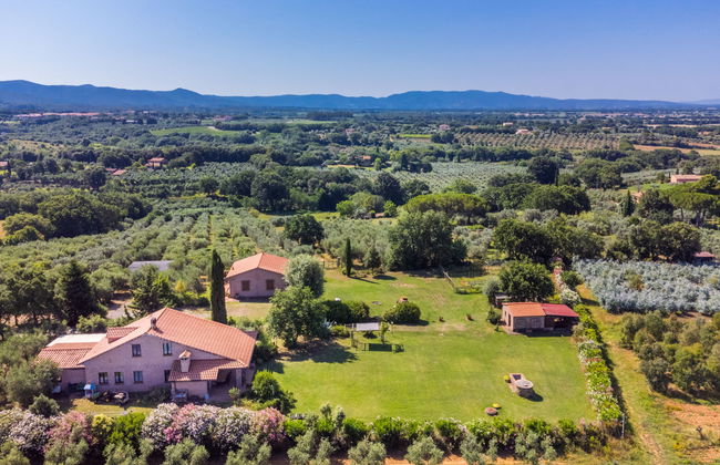 Appartement de 3 chambres à Bibbona avec jardin et terrasse - Photo 38