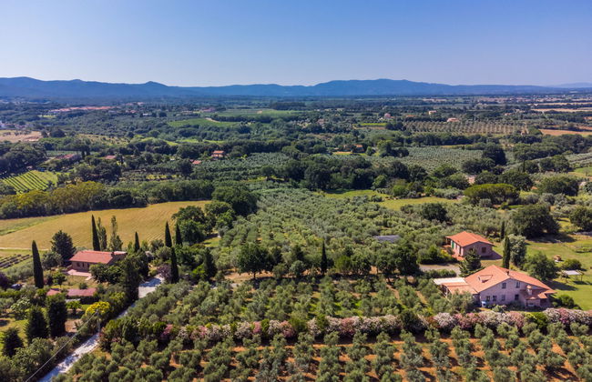 Appartement de 3 chambres à Bibbona avec jardin et terrasse - Photo 50
