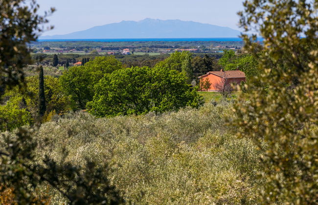 Appartement de 3 chambres à Bibbona avec jardin et terrasse - Photo 43