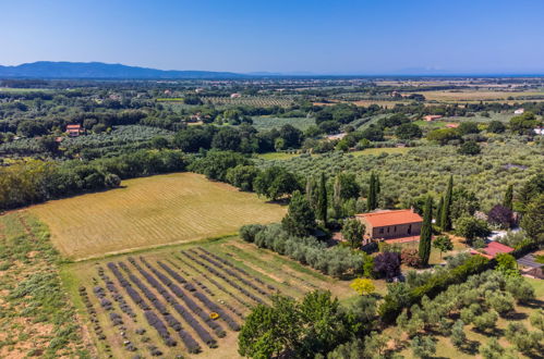 Foto 47 - Appartamento con 2 camere da letto a Bibbona con giardino e vista mare