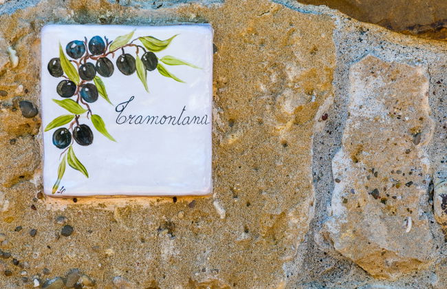 Appartement de 3 chambres à Bibbona avec jardin et terrasse - Photo 27