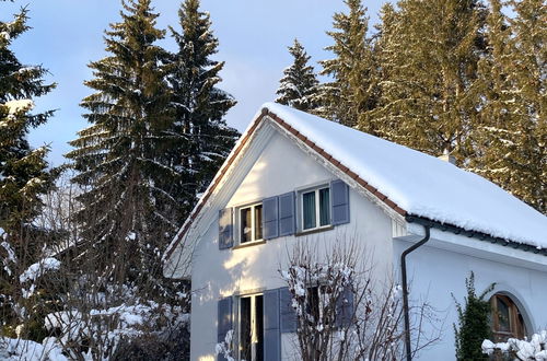 Foto 40 - Appartamento con 4 camere da letto a Le Bémont