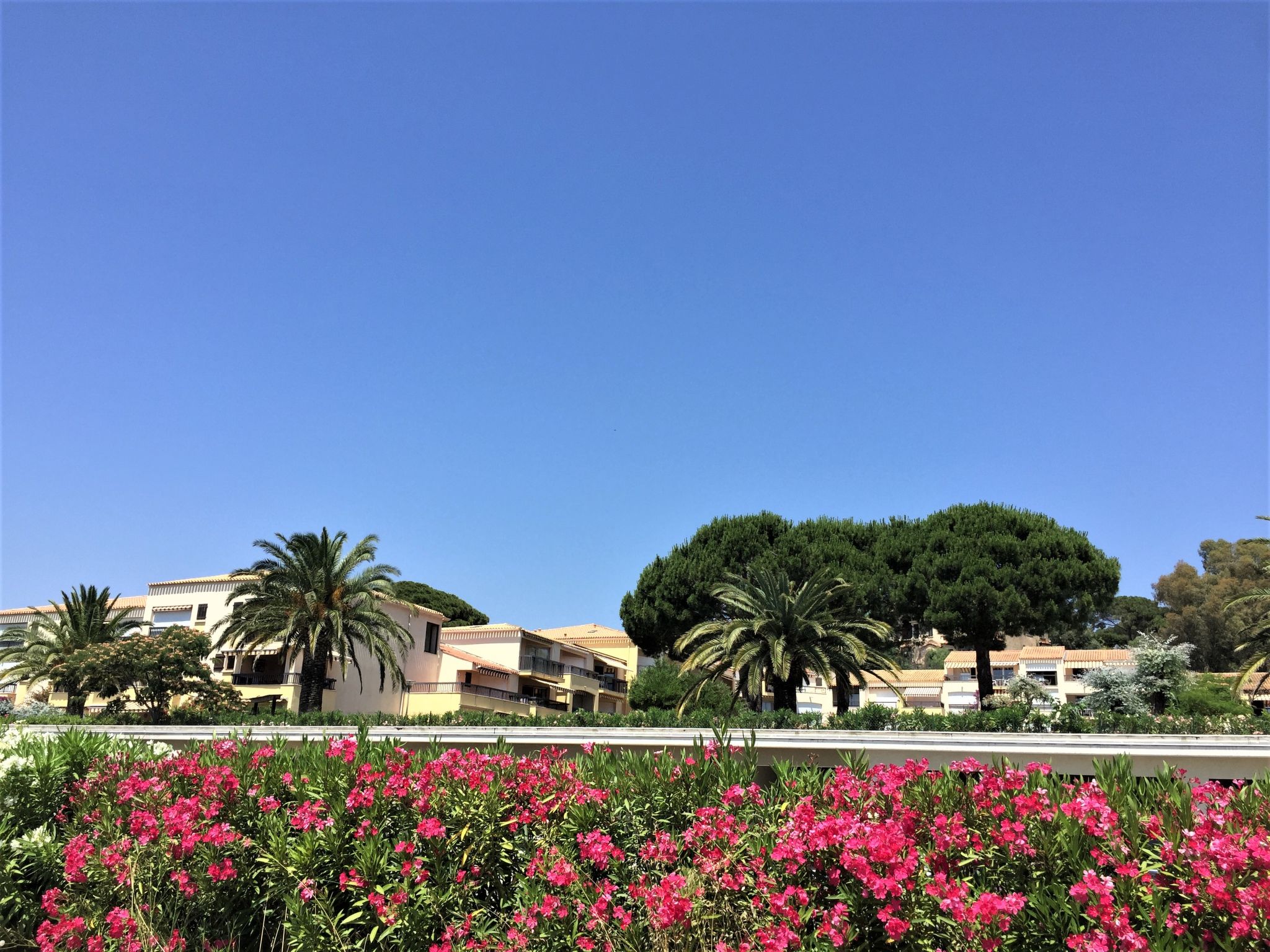 Foto 16 - Appartamento con 1 camera da letto a Roquebrune-sur-Argens con piscina e vista mare