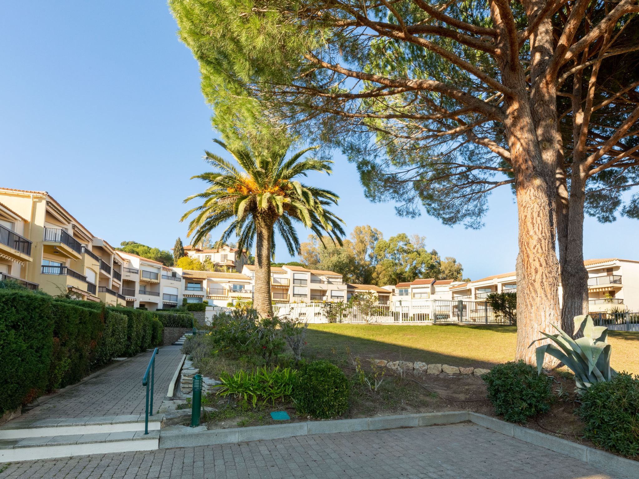 Foto 24 - Apartamento de 1 quarto em Roquebrune-sur-Argens com piscina e terraço