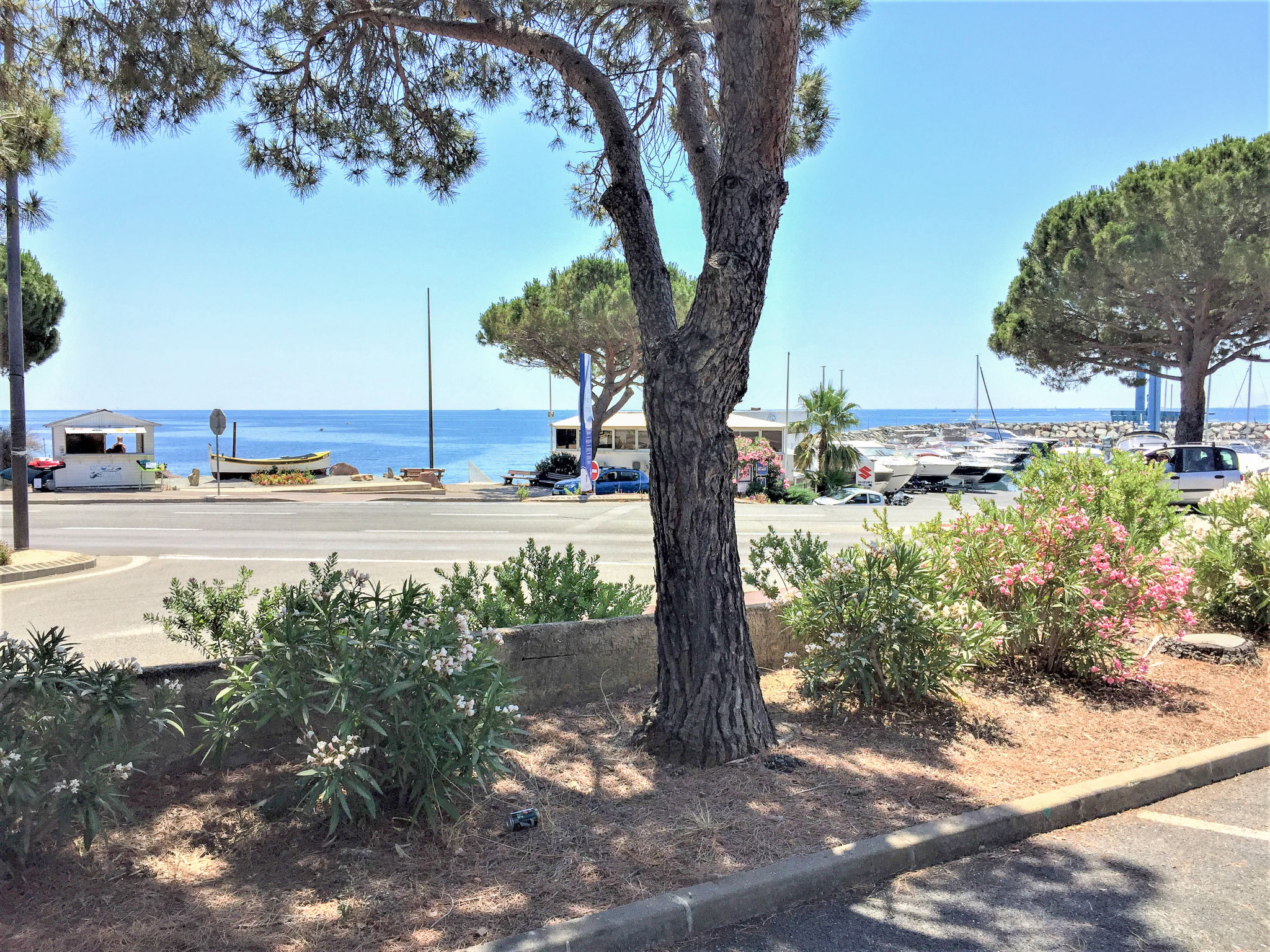 Foto 27 - Apartamento de 1 habitación en Roquebrune-sur-Argens con piscina y vistas al mar