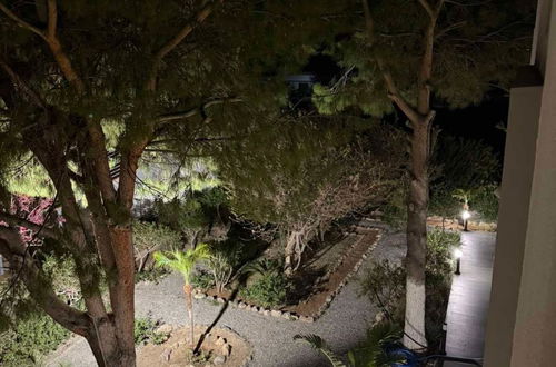 Photo 39 - George Beach Studios