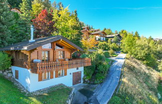 Foto 1 - Casa de 4 quartos em Nendaz com jardim e terraço